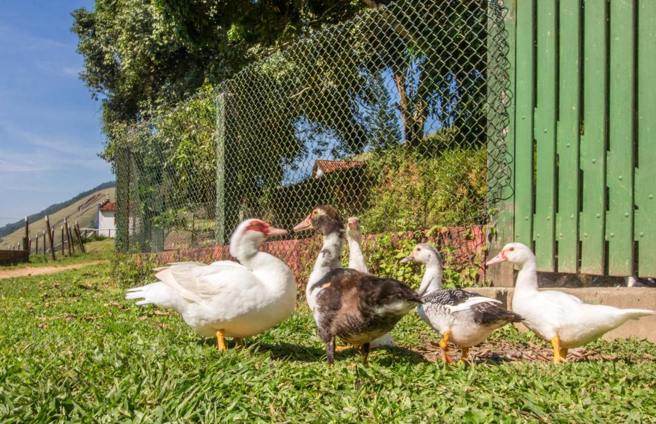 Hotel Fazenda Canto Da Serra Jacone Exterior photo